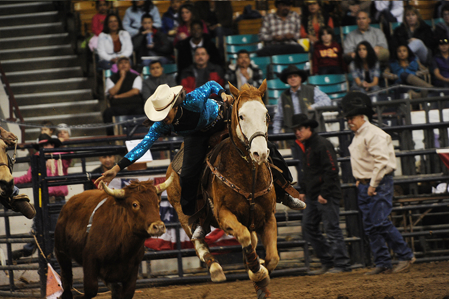 Ladies Steer Undecorating