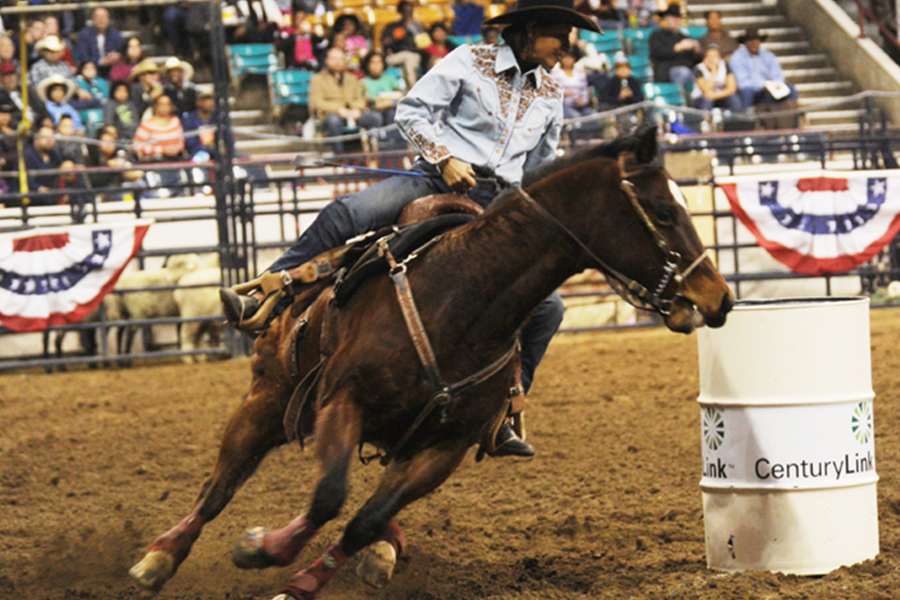 Ladies Barrel Racing