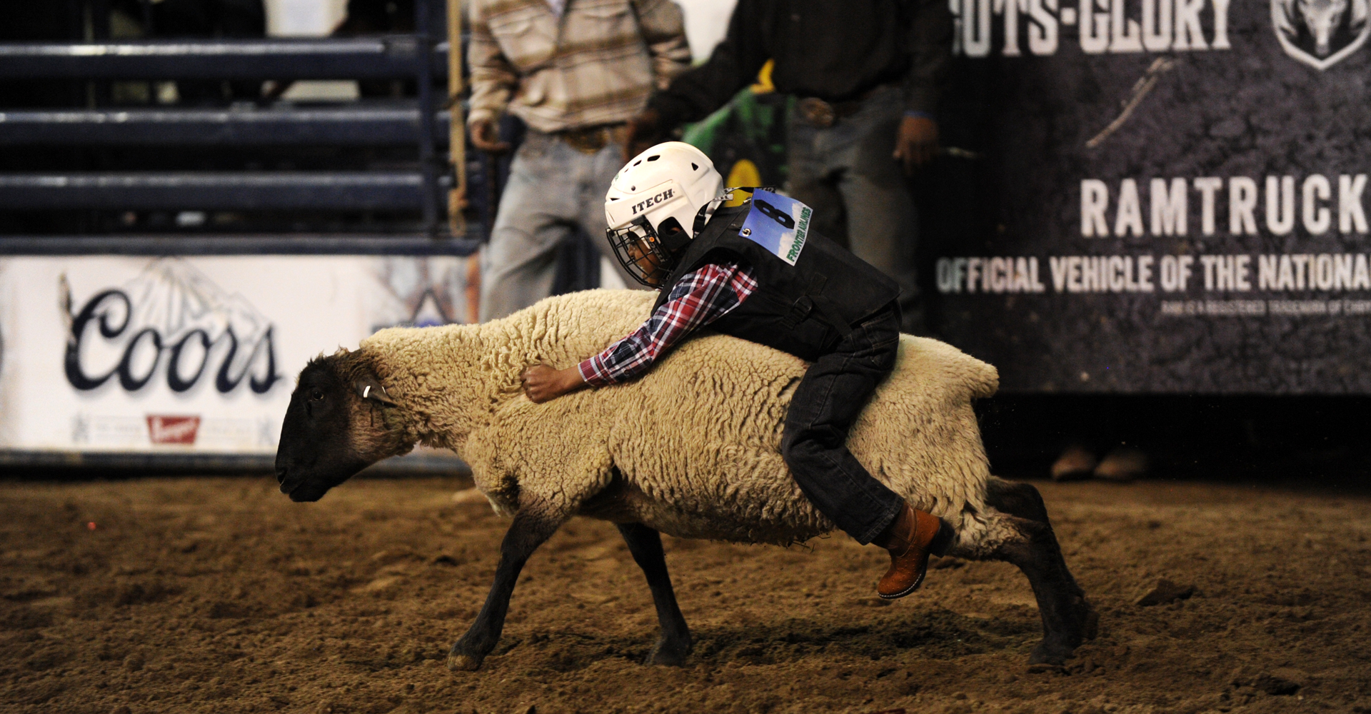 Mutton Busting